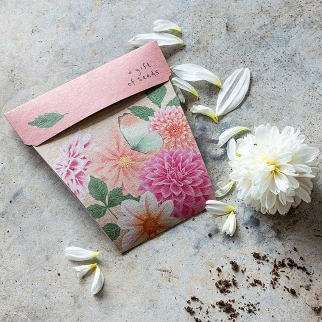 Gift of Seeds - Dahlia