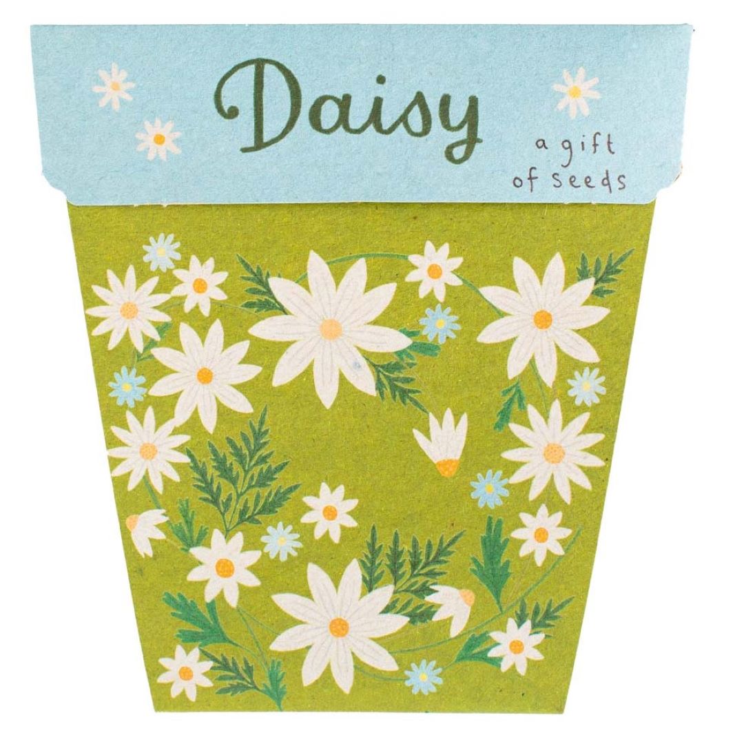 Gift of Seeds - Daisy