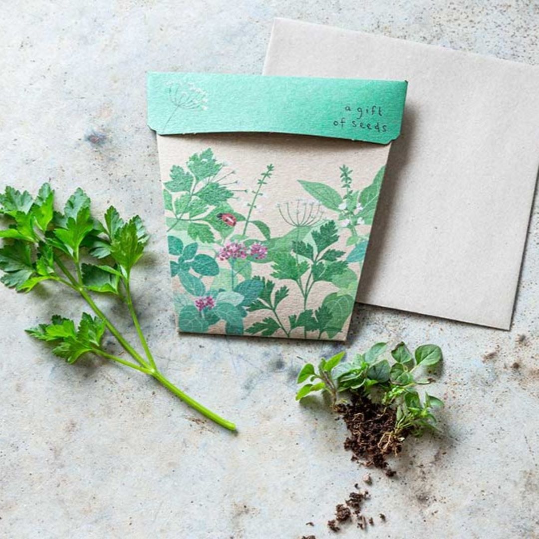 Gift of Seeds - Garden Herbs