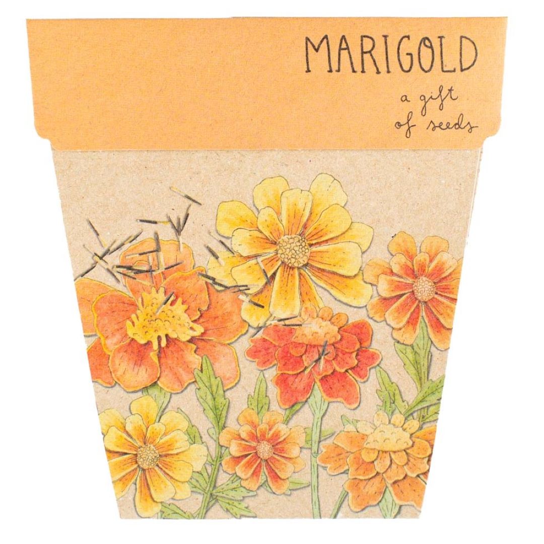 Gift of Seeds - Marigolds