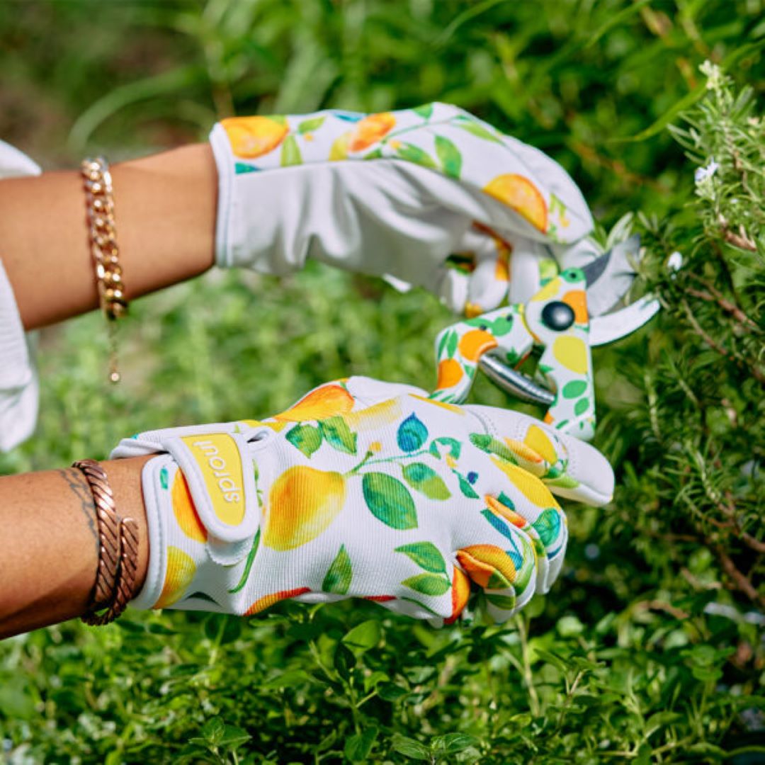 Gardening Gloves - Amalfi Citrus
