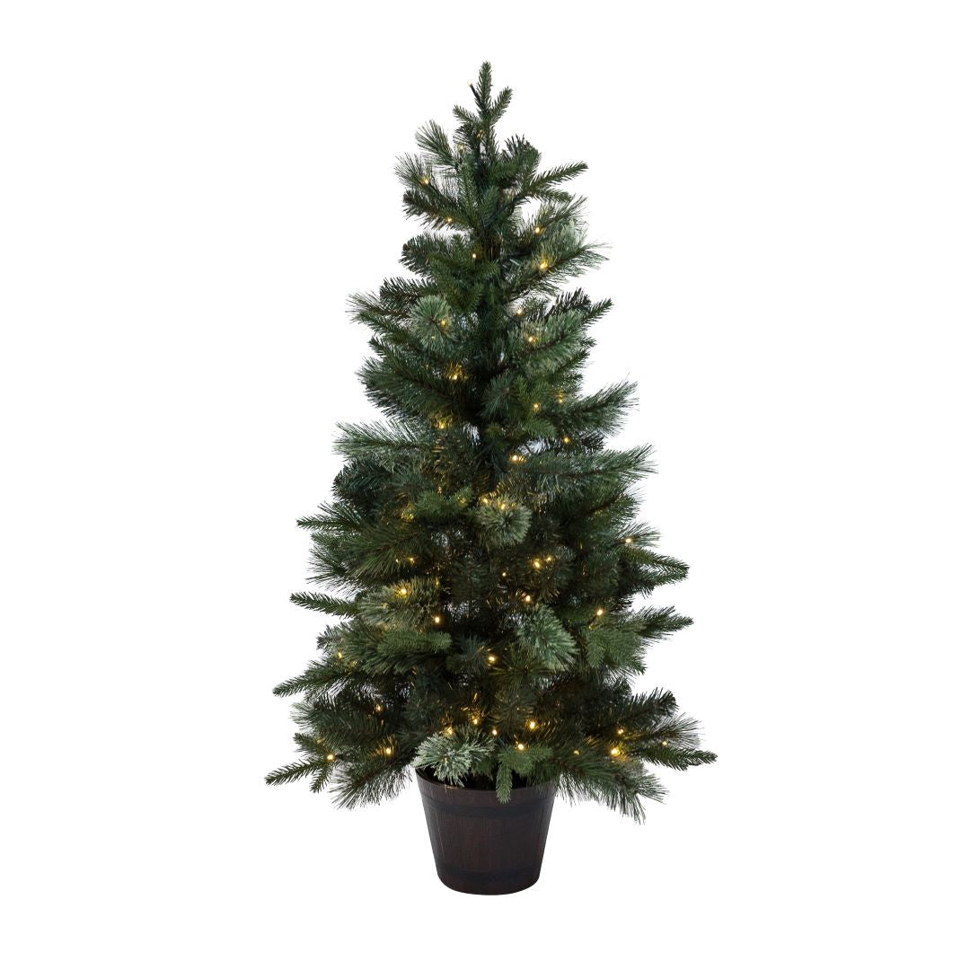 Sassafras LED Christmas Tree 120cm